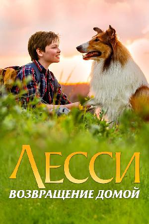 Лесси. Возвращение домой 2020