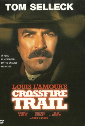 Постер к Под перекрестным огнем (2001)